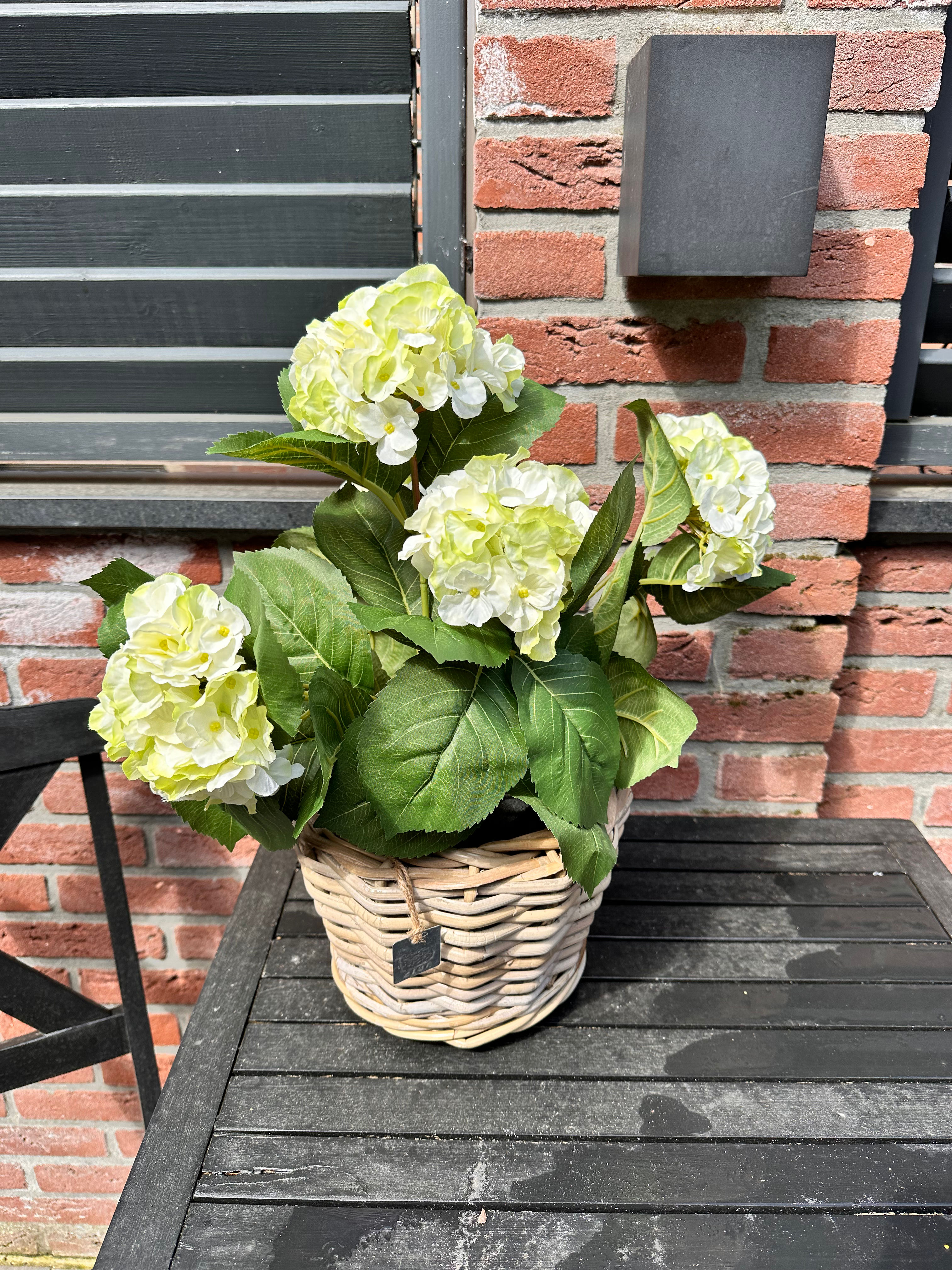Moederdag aanbieding 🎁 “gewone” zijden hortensia in rieten mand (geel”