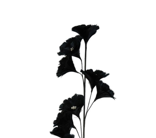 Thumbnail: Tak met 6 zwarte bloemen 25x90 cm 