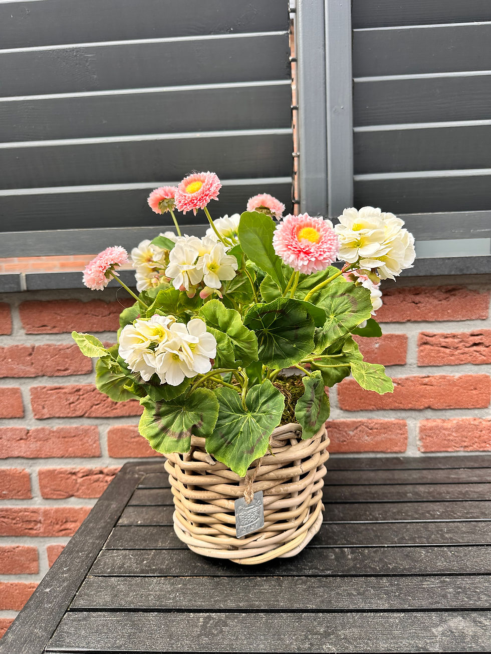 Thumbnail: ACTIEPRIJS- Zijden geranium bloemen 