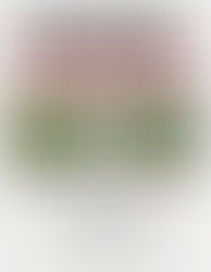 Senior Poster Newsletter