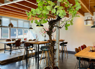 Kantine zijde boom 