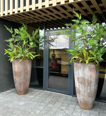 Zijde planten in potten