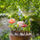 Thumbnail: Ecri Living Tulpenvaas