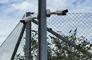 thumbnail_Image (1).jpg