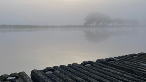 Reflecties op het coachvak 