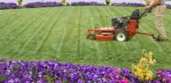 grasscutting.jpg