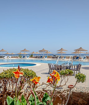 silver beach boutique hotel el quseir red sea egypt, private swimming pool