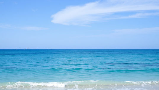 hasan-almasi-nKNm_75lH4g-unsplash%20Copy