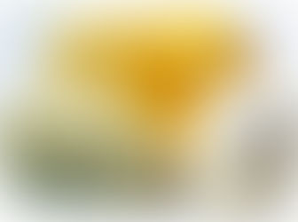 Инфузы и мацераты на баттерах 