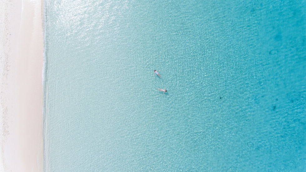 marc-babin-mk76xcCfUv4-unsplash.jpg