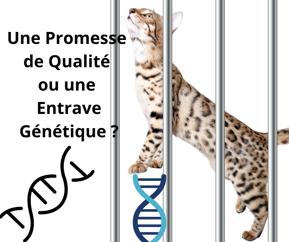 Un pedigree , entre qualité et prison génétique pour les races - Réfléxions