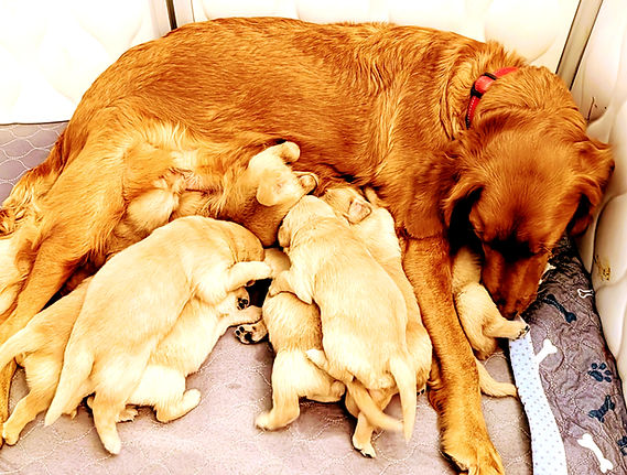 PXL_20260731_162850852_edited.jpg