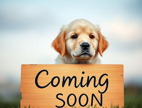 Create a coming soon sign with a super cute golden retriever puppy .jpg