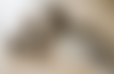 Creatief atelier | Mevrouw Konijn