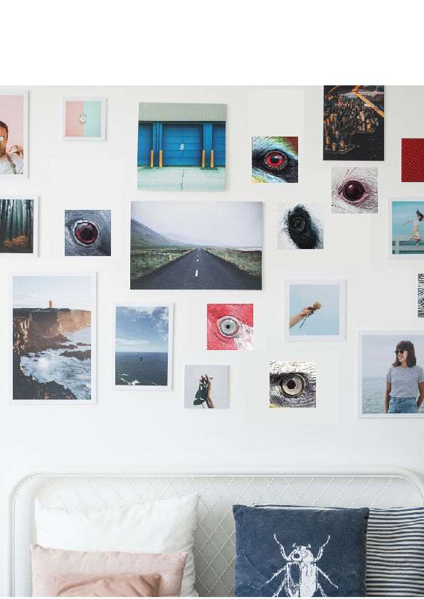 Miniature : Tourterelle Turque