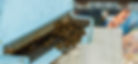 Abeilles_2015_5_edited.jpg
