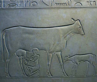Figura egípcia ordenhando vaca