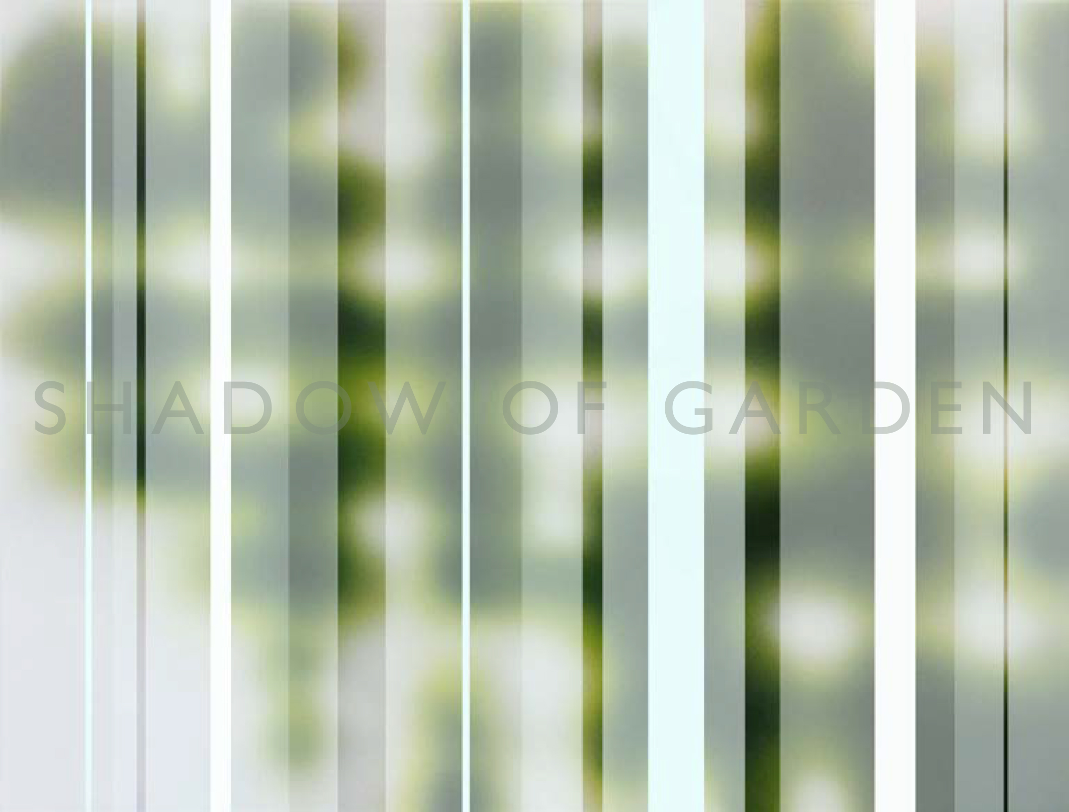 SHADOW OF GARDEN