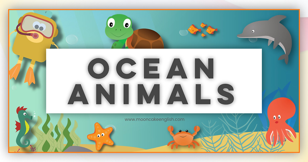 3 Exciting Sea Animals Games to Ignite Your Ocean Animals Lesson Plans