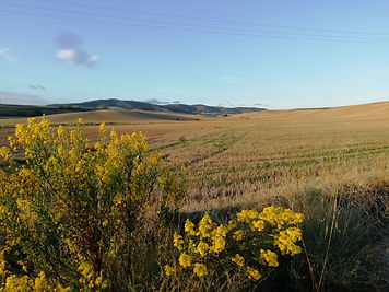 Wanderung