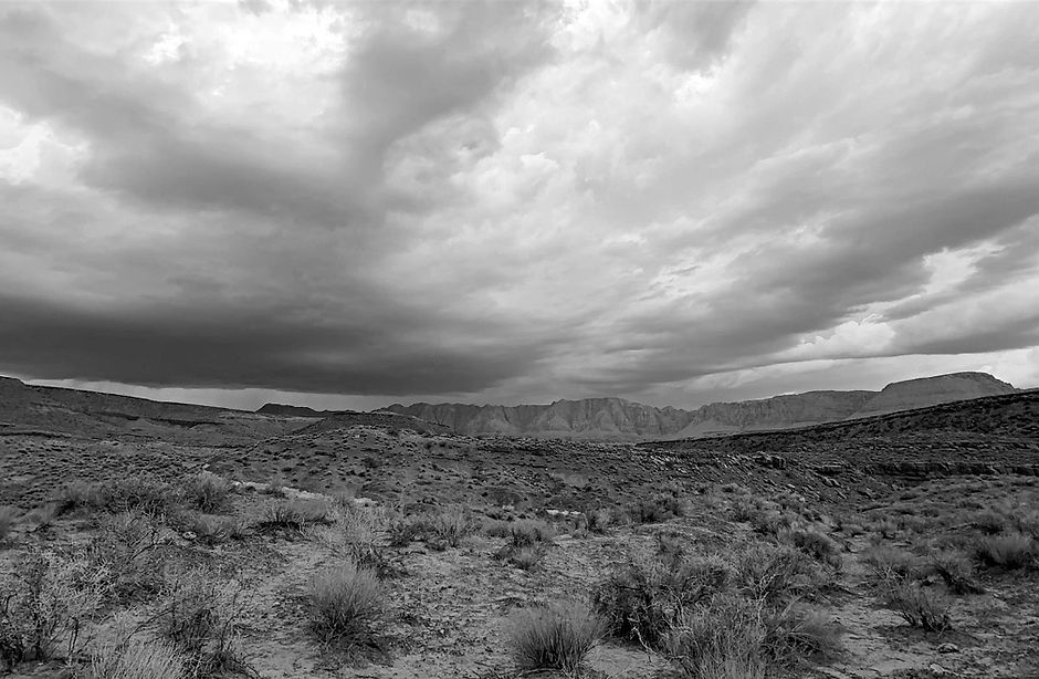 IMG_9188.JPG