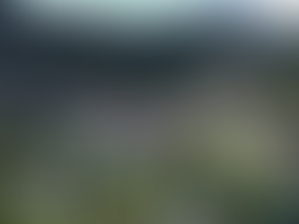 Chanaz obtient le Label Village d'Avenir