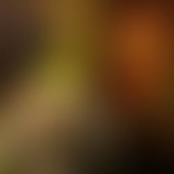 [COMPLET] Les 4 & 5 avril, chasse aux oeufs gratuite thème Shrek !