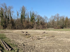 Qu'est-ce que cette nouvelle mare derrière l'aire de camping-cars ?