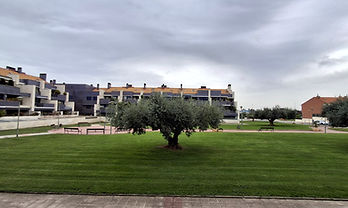 Distrito 3