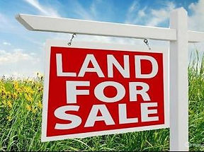 land_for_sale_sign__ScaleMaxWidthWzcwMF0