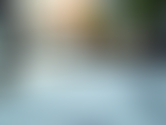 People Experts LLC: Your HR Experts Services