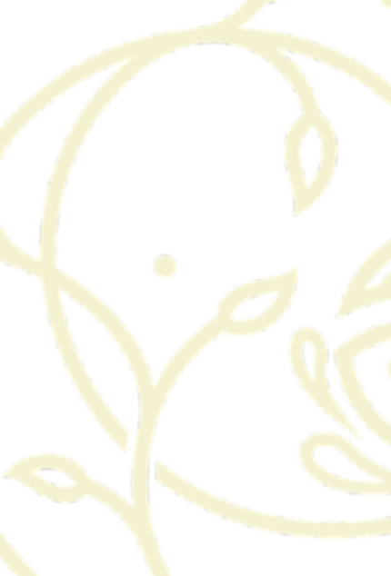 HHP_ICON_WATERMARK_edited_edited.png