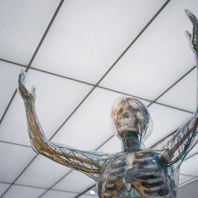 A Matter of Systems