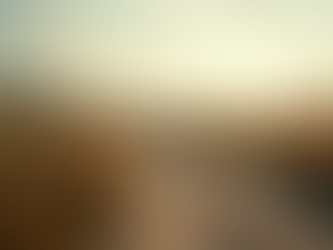 Risk Management Frameworks for Women's Career Transitions