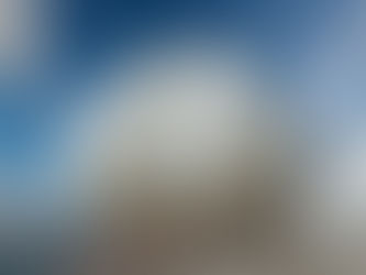 पंछी भी सिखाते हमें प्यार से रहना