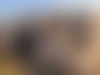 Land van de Psalmen: in de schaduw van Davids grot