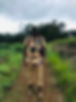 Rwanda Eco-Tours, African Adventure