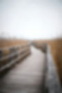 tim-schmidbauer-zeJgSHUCaeE-unsplash (1).jpg