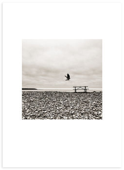 Sunrise on tranquil summer morning, calm sea, gentle waves coming to the shore. Belfast, Maine