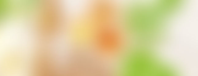 SUPPLEMENTARY FOODATTENTION TO MANUFACTURING AND IMPORTING COMPANIES!