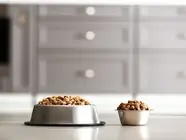 PET PRODUCT ATTENTION OF IMPORTERS,