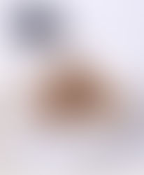 Coconut Date Energy Balls with Blueberries