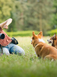 How to Photograph Pets