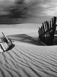 Basics of Black and White Photography for Beginners