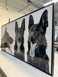 giant dog metal print