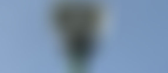 観音寺運動公園