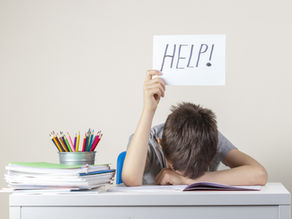 4 Things you Need to Do to Study for your HSC English Common Module Prescribed Text