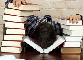 A Crammer's Guide to HSC English Success