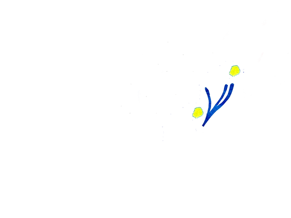 Untitled_Artwork 107.png