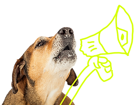 Ein Portrait eines braunen Hundes mit Schlappohren und grauer Schnauze, der jault.